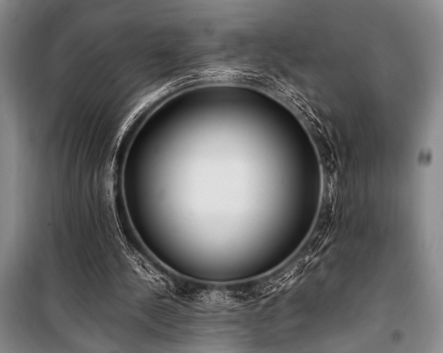 X0000101220244200806271454