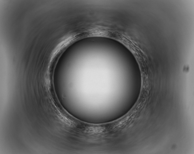 X0000101220245200806271454