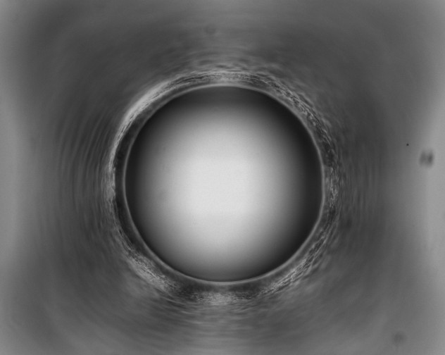 X0000101220246200806271454