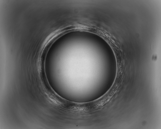 X0000101220247200806271454