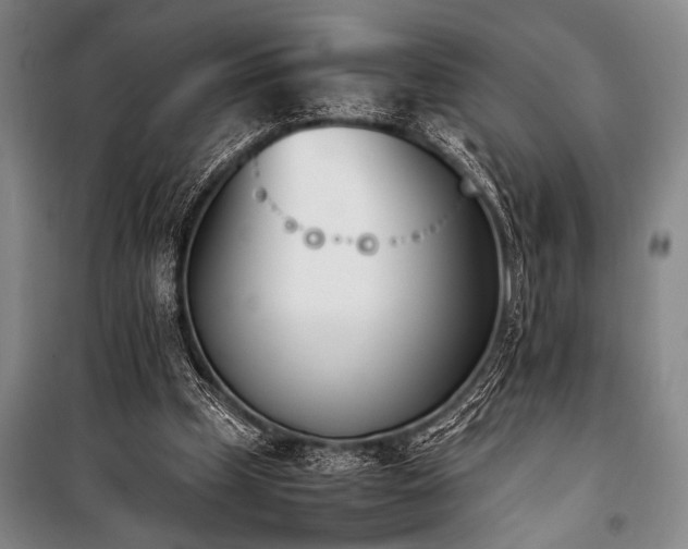X0000101220249200806271454