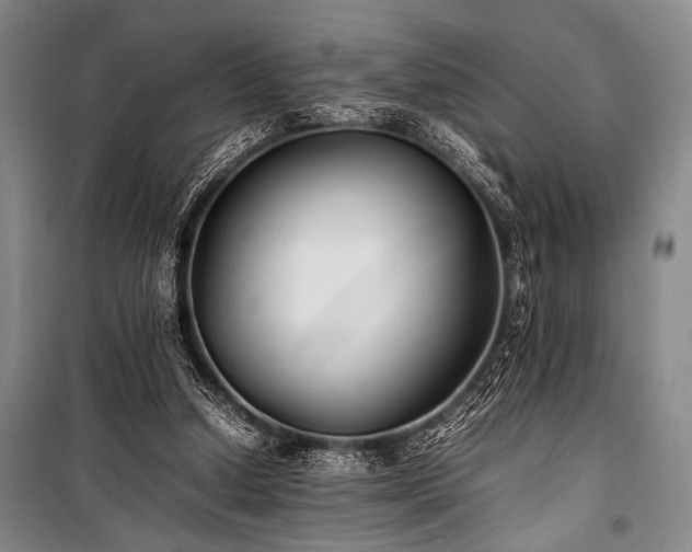 X0000101220250200806271454