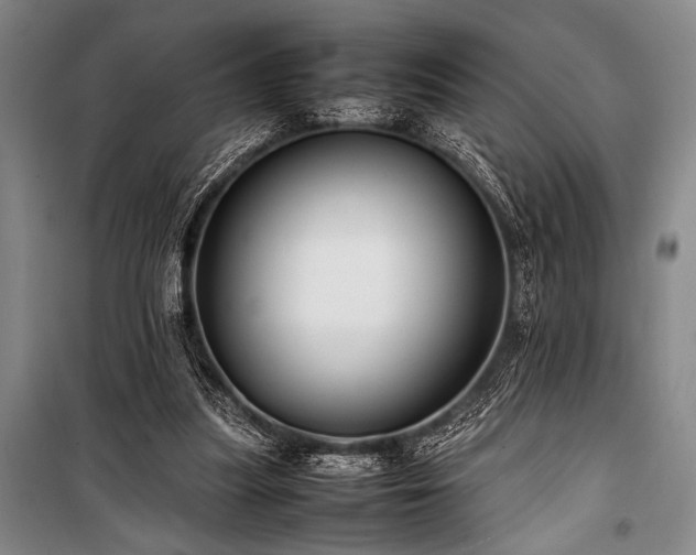 X0000101220251200806271454