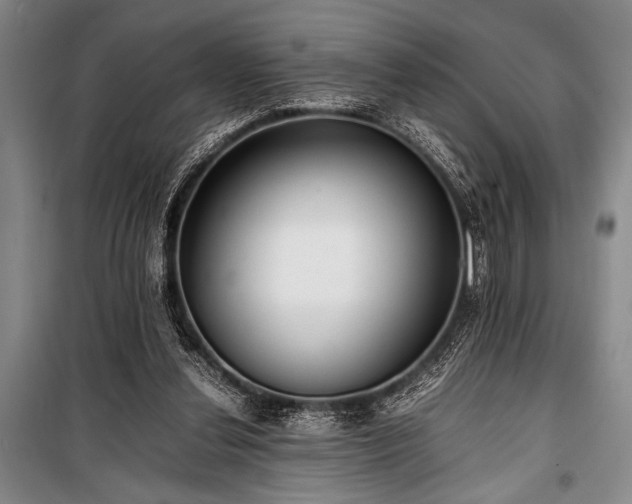 X0000101220252200806271454