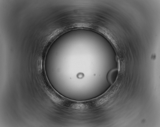 X0000101220253200806271454