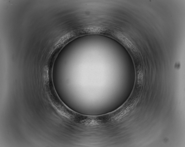 X0000101220254200806271454