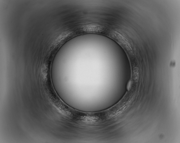 X0000101220255200806271454