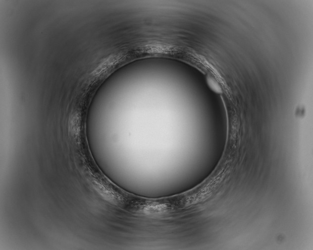 X0000101220257200806271454