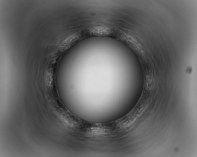 X0000101220259200806271454