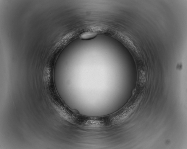 X0000101220260200806271455