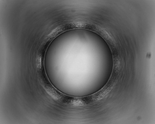 X0000101220262200806271455