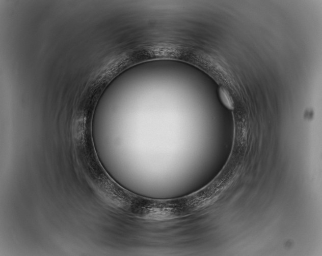 X0000101220263200806271455