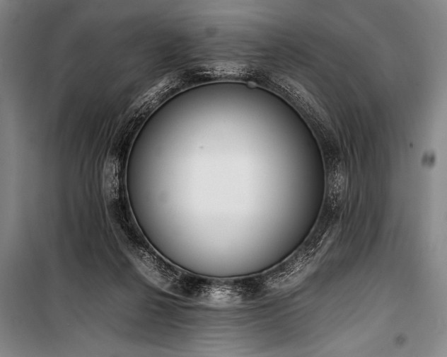 X0000101220264200806271455