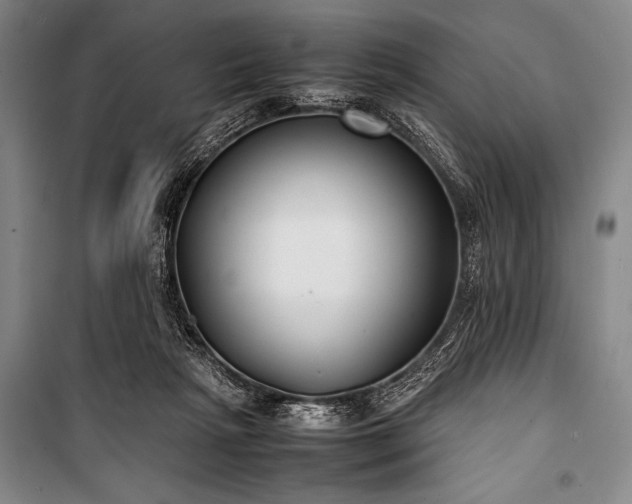 X0000101220265200806271455