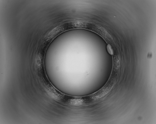 X0000101220266200806271455