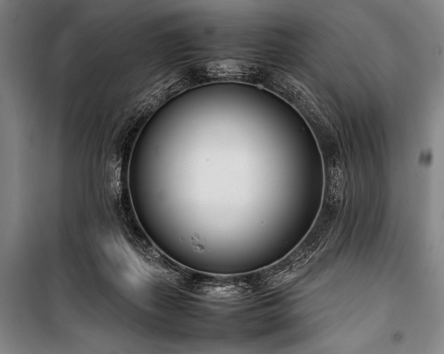 X0000101220267200806271455