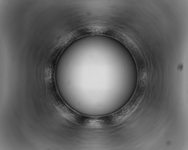 X0000101220268200806271455