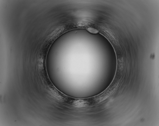 X0000101220269200806271455