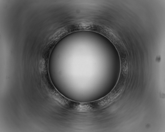 X0000101220270200806271455