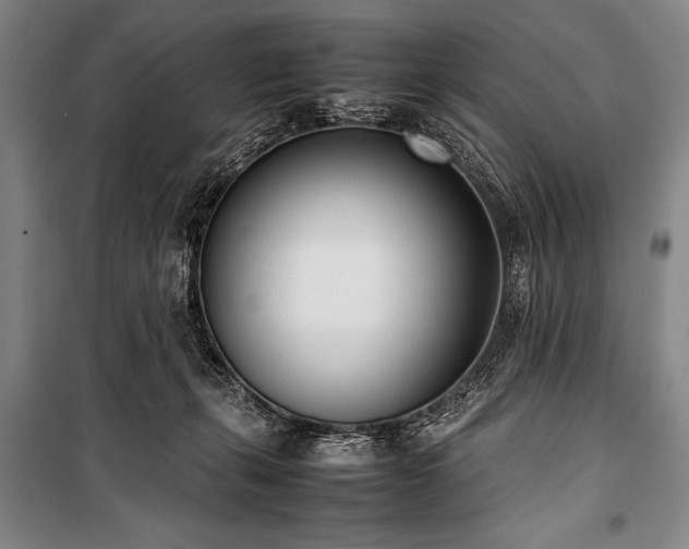 X0000101220271200806271455