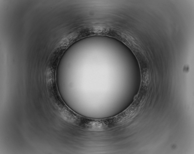 X0000101220272200806271455