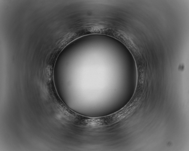 X0000101220273200806271455
