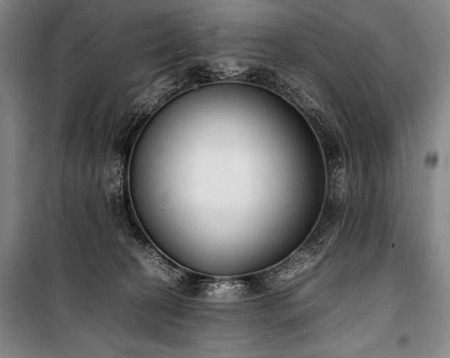 X0000101220274200806271455