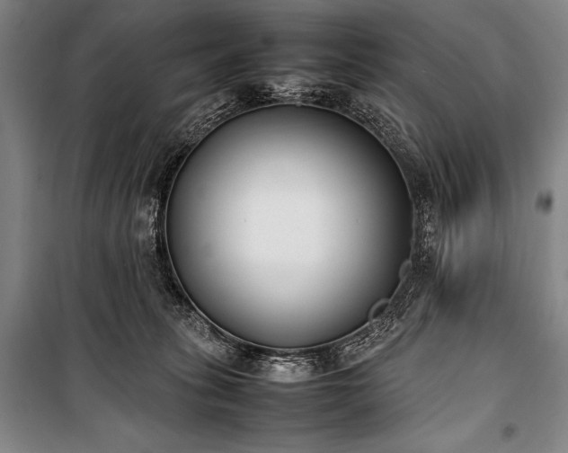 X0000101220275200806271455