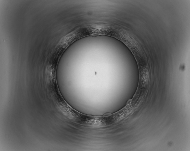 X0000101220276200806271455