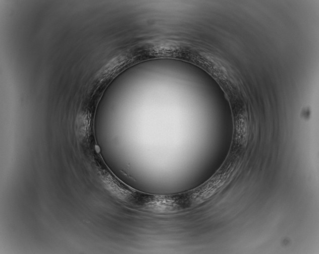 X0000101220278200806271455