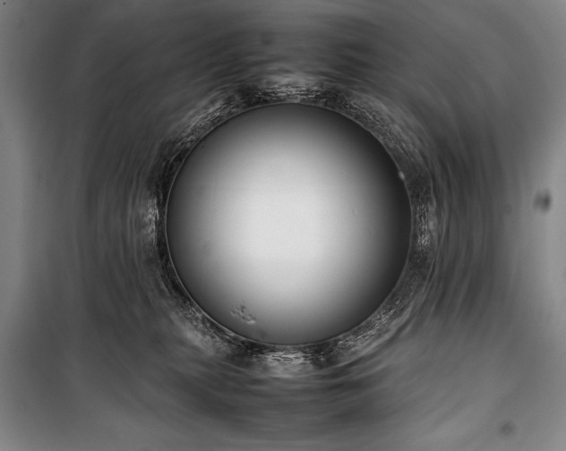 X0000101220279200806271455