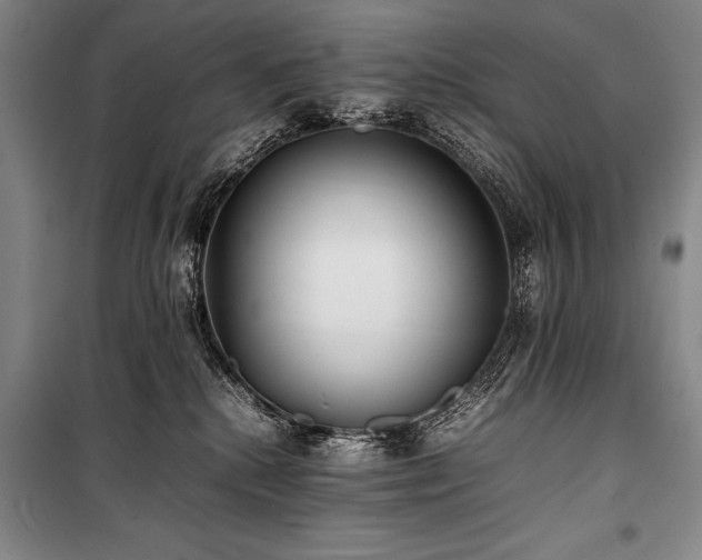 X0000101220280200806271455