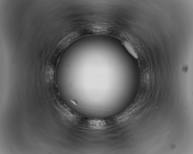 X0000101220281200806271455