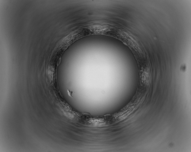 X0000101220283200806271455