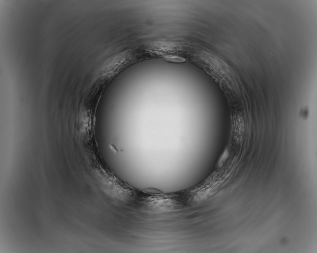 X0000101220284200806271455