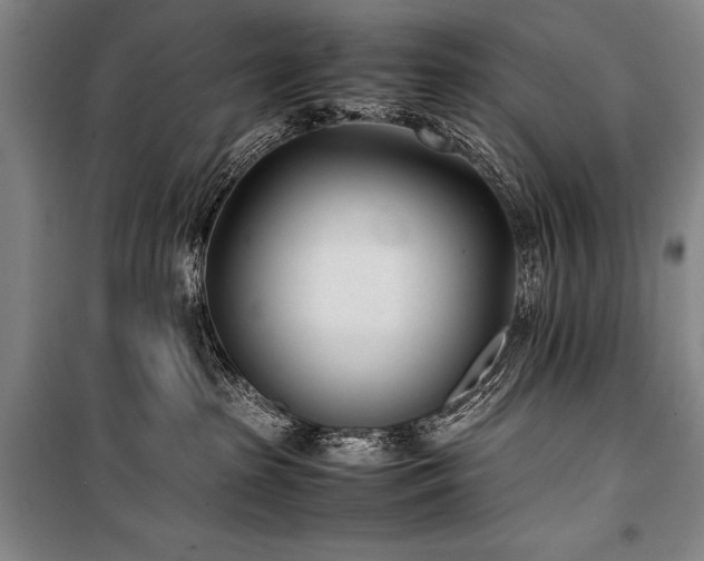 X0000101220285200806271455