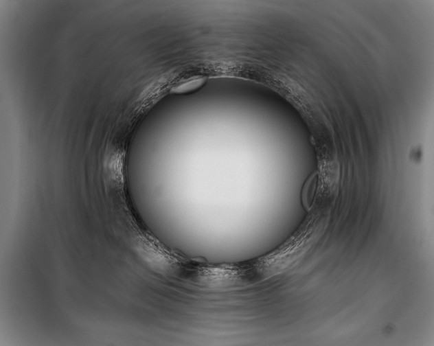 X0000101220286200806271455