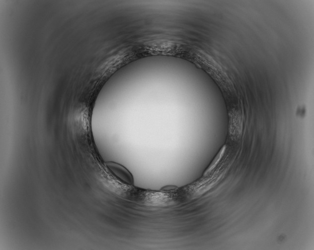 X0000101220287200806271455