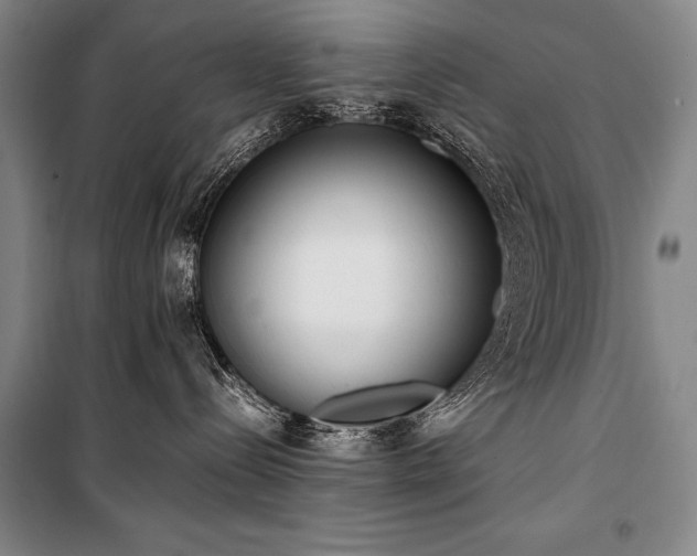 X0000101220288200806271455