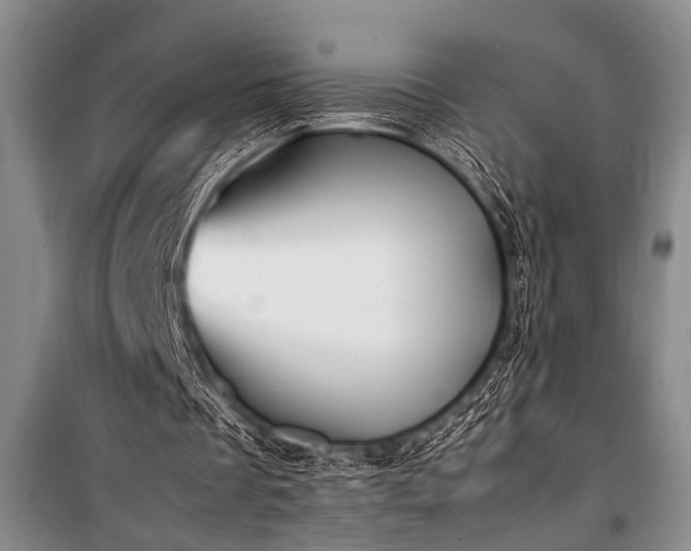 X0000101220289200806271454