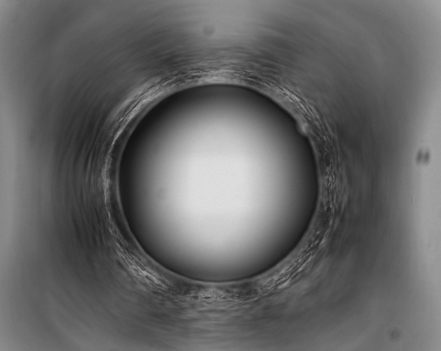 X0000101220290200806271454