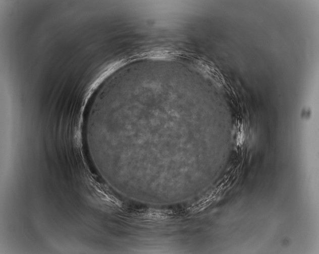 X0000101220292200806271454