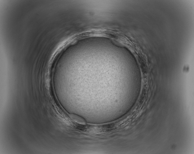 X0000101220293200806271454