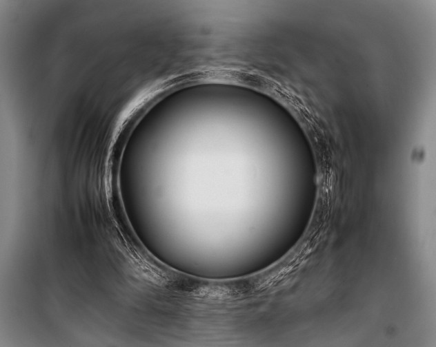 X0000101220294200806271454