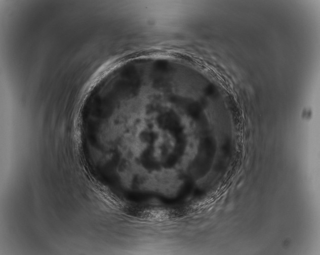 X0000101220295200806271454