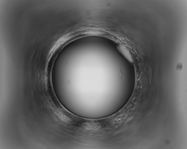 X0000101220296200806271454