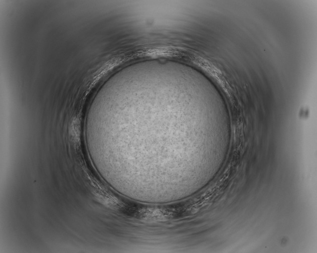 X0000101220297200806271454