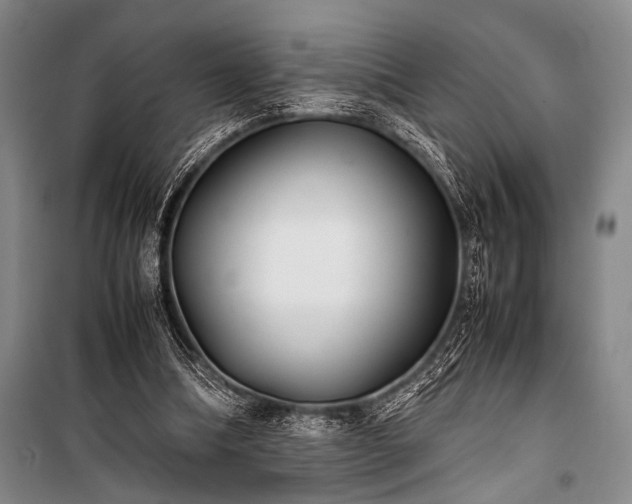X0000101220298200806271454