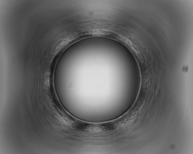 X0000101220299200806271454