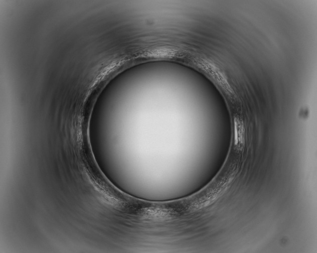 X0000101220300200806271454